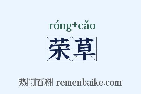 荣草是什么意思的图片